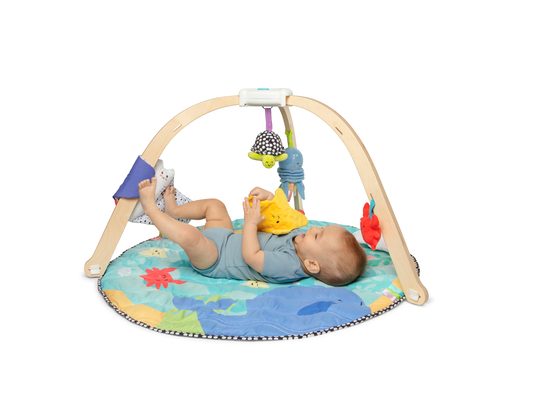 Ocean Easy-Fold Play Gym