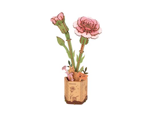 Pink Carnation