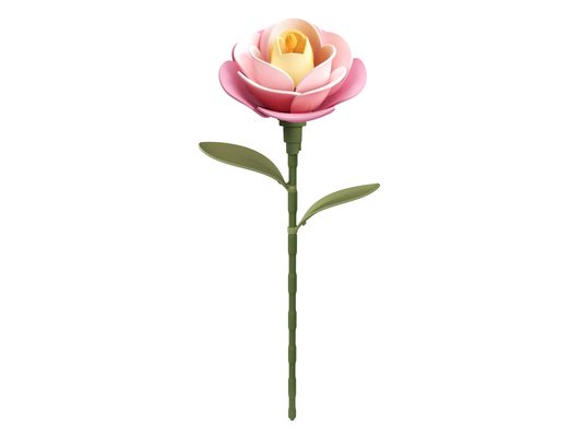 Pink Camellia