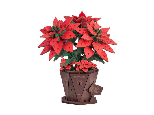 Poinsettia