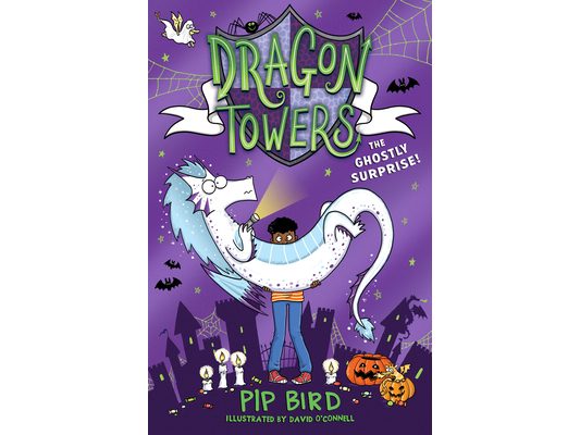 Dragon Towers: The Ghostly Surprise