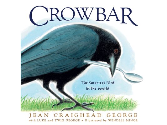 Crowbar: The Smartest Bird in the World