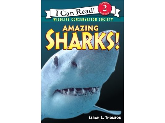 Amazing Sharks!