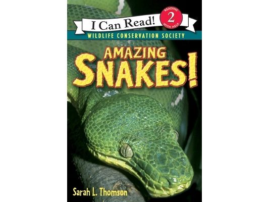 Amazing Snakes!