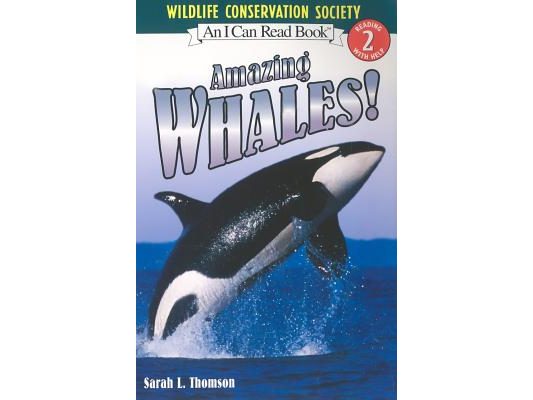 Amazing Whales!