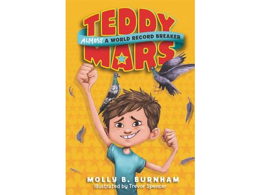 Teddy Mars Book #1: Almost a World Record Breaker