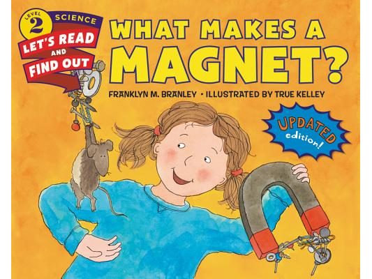 What Makes a Magnet?