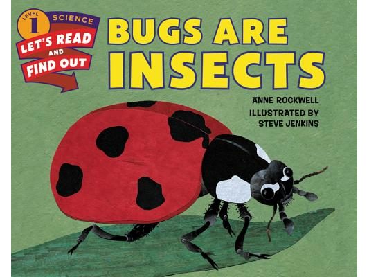 Bugs Are Insects