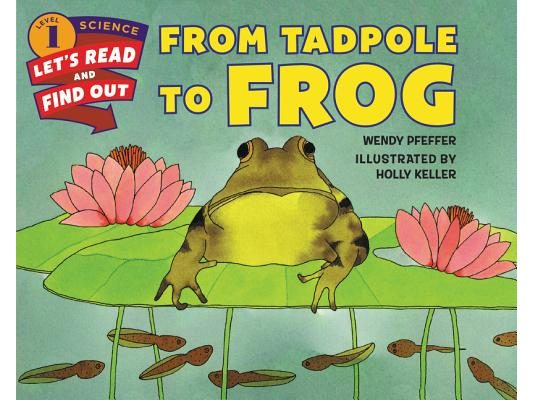 From Tadpole to Frog