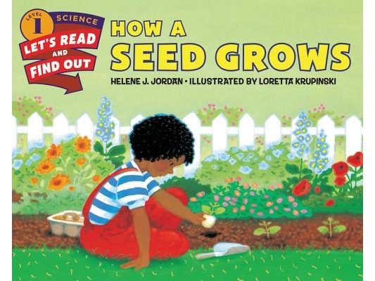How a Seed Grows