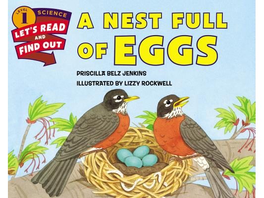 A Nest Full of Eggs