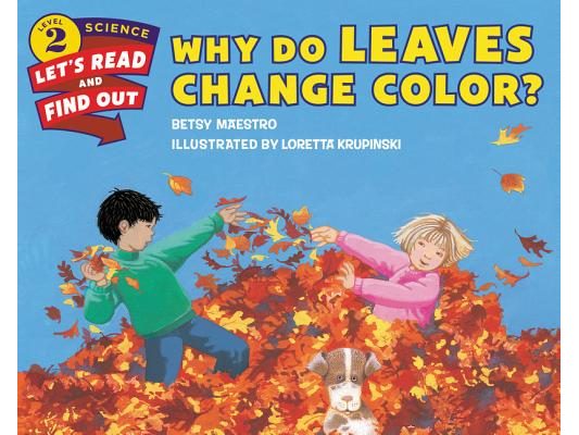 Why Do Leaves Change Color?