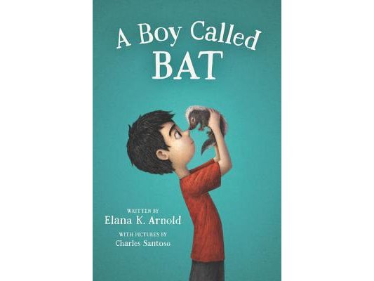 A Boy Called Bat