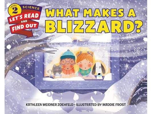 What Makes a Blizzard?