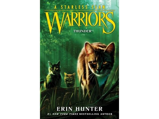 Warriors: A Starless Clan #4: Thunder