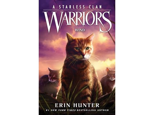 Warriors: A Starless Clan #5: Wind