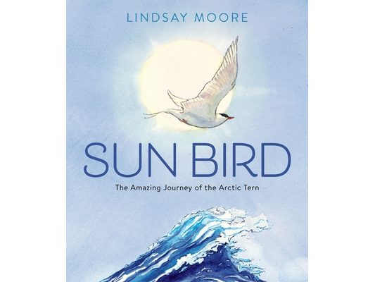 Sun Bird: The Amazing Journey of the Arctic Tern