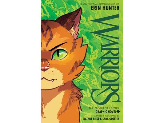 Warriors Graphic Novel: The Prophecies Begin, Part One of Three