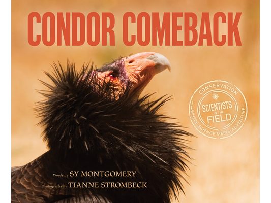 Condor Comeback