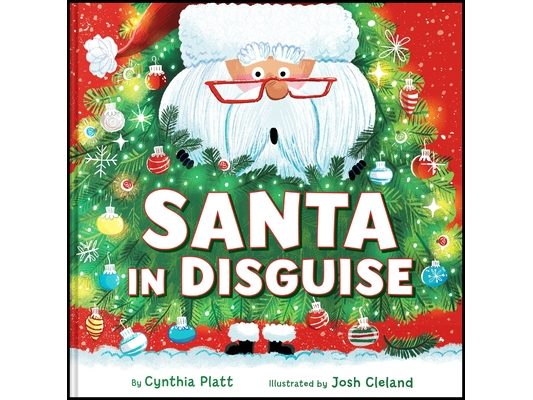 Santa in Disguise