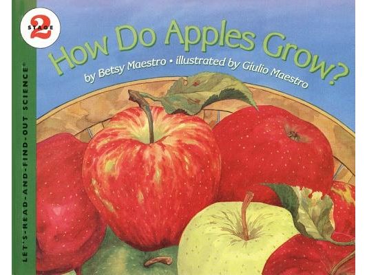 How Do Apples Grow?