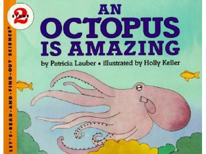 An Octopus Is Amazing