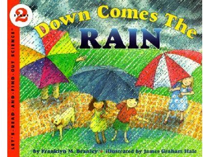 Down Comes the Rain