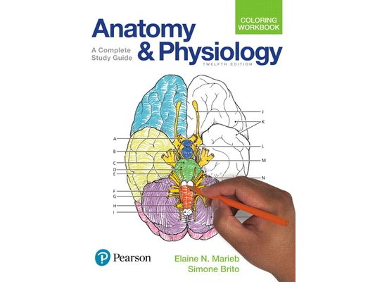 Anatomy and Physiology Coloring Workbook: A Complete Study Guide