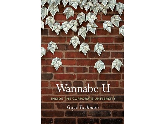 Wannabe U: Inside the Corporate University