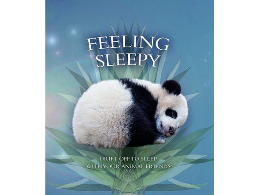 Feeling Sleepy: Drift Off to Sleep with Your Animal Friends