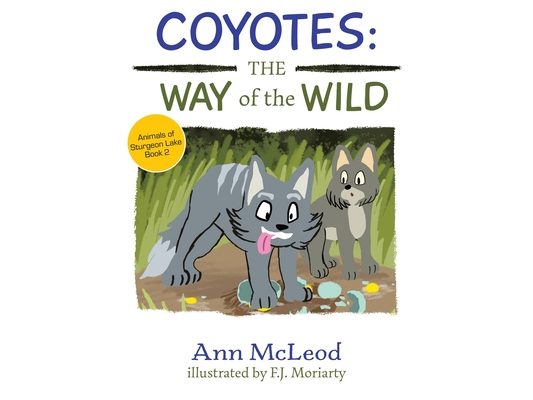 Coyotes: The Way of the Wild