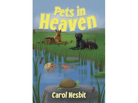 Pets in Heaven