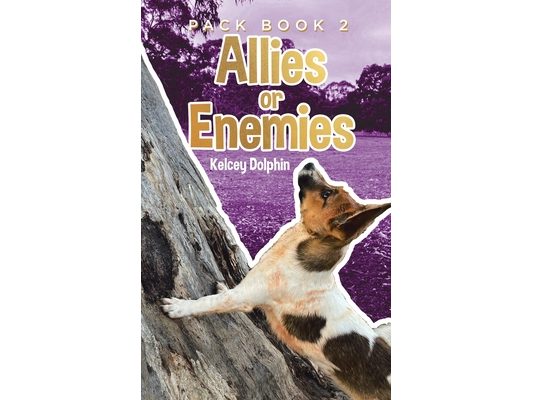 Allies or Enemies