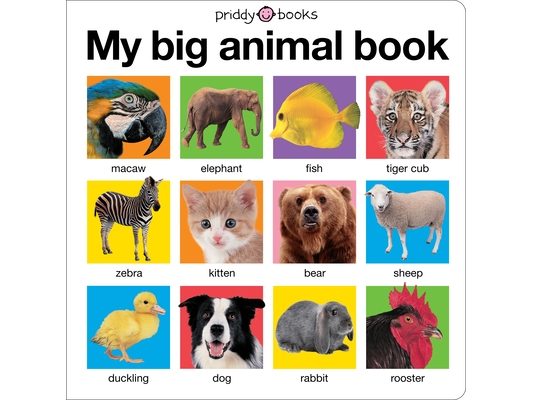 My Big Animal Book