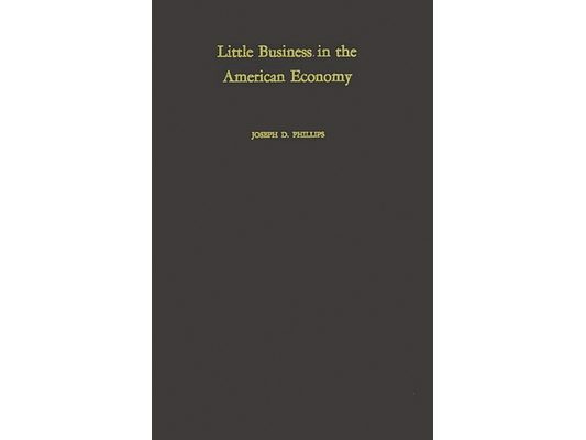 Little Business in the American Economy