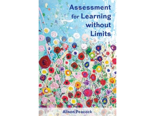 Assessment for Learning without Limits