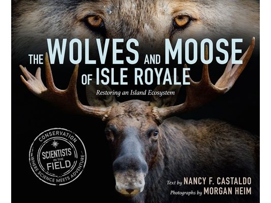 The Wolves and Moose of Isle Royale: Restoring an Island Ecosystem