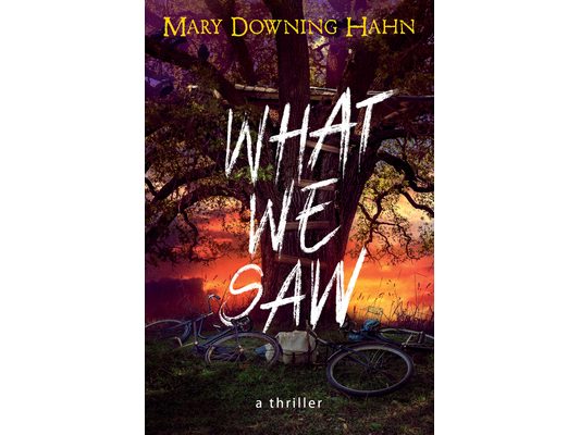 What We Saw: A Thriller