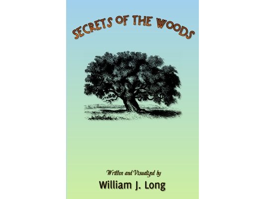 Secrets of the Woods