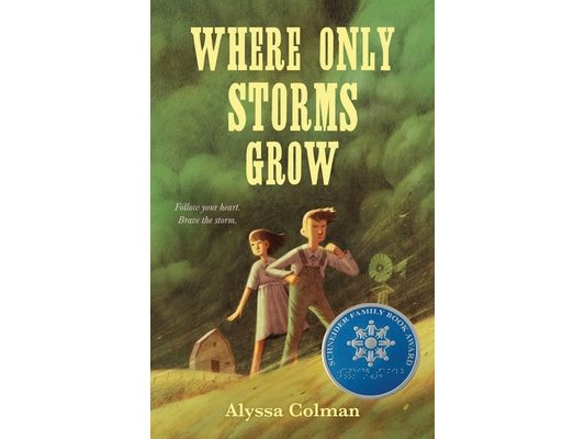 Where Only Storms Grow: A Novel about the Dust Bowl