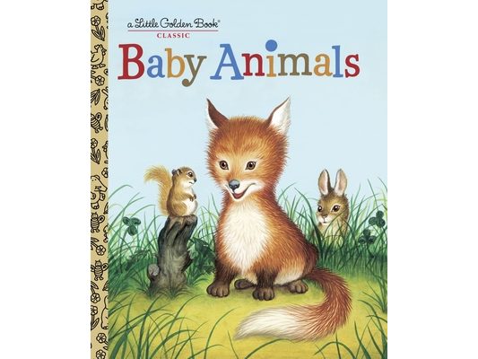 Baby Animals