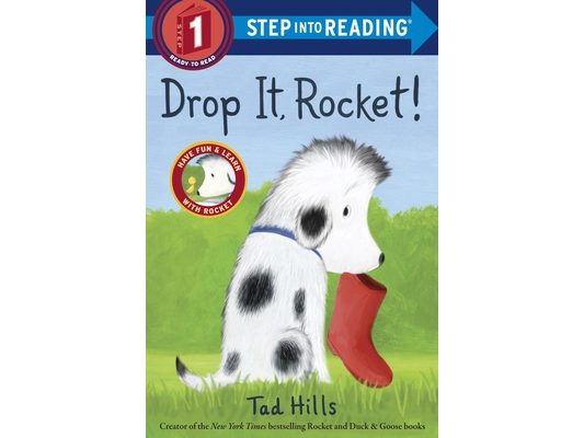 Drop It, Rocket!