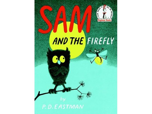 Sam and the Firefly