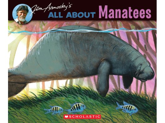 All about Manatees