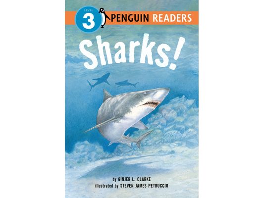 Sharks!