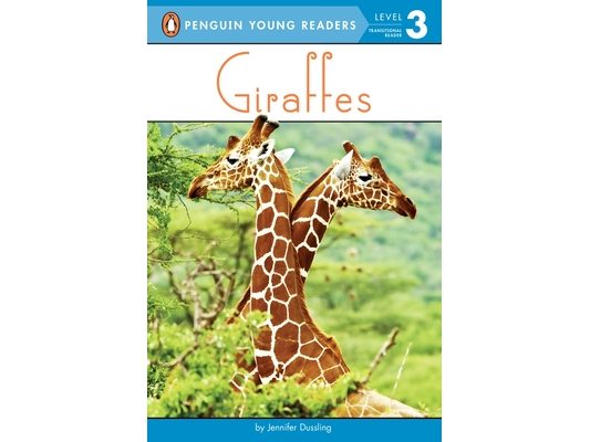 Giraffes