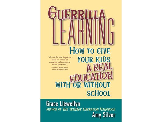 Guerrilla Learning: How to Give Your Kids a Real Education with or Without School
