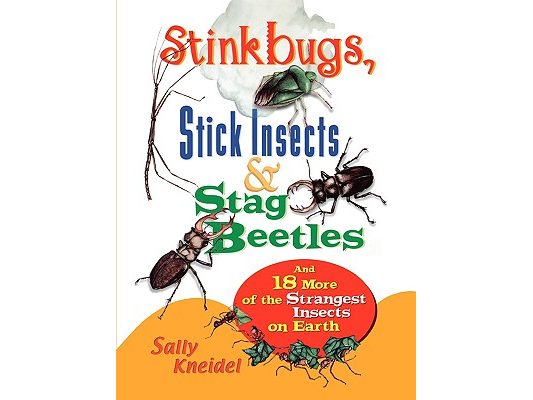 Stink Bugs, Stick Insects, and Stag Beetles: And 18 More of the Strangest Insects on Earth