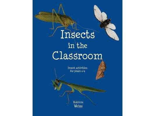 Insects in the Classroom: Drive your students buggy