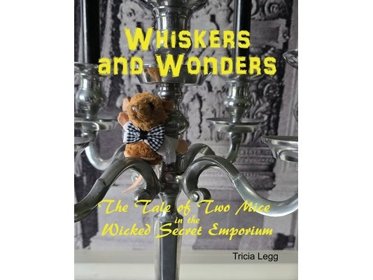 Whiskers and Wonders: The Tale of Two Mice at the Wicked Secret Emporium